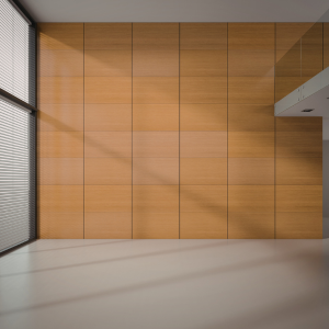 a blurred to sharp transition (2)