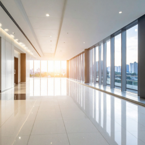 a blurred to sharp transition (4)