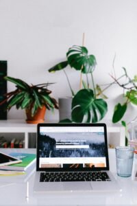 A sleek laptop on a desk in a modern home office with vibrant green plants.